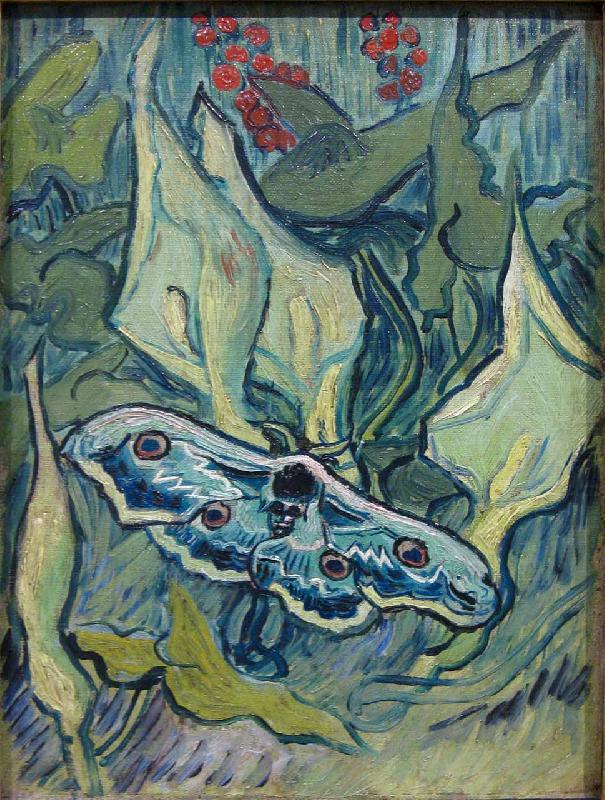 Vincent Van Gogh Butterflies china oil painting image